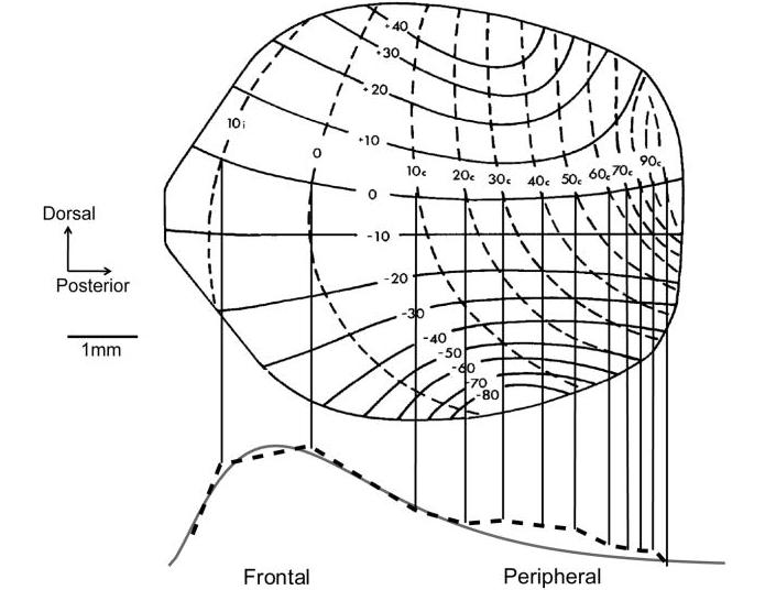 Wang_etal2012 Wang_etal2012