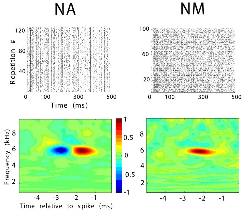 SteinbergPena_2011 SteinbergPena_2011