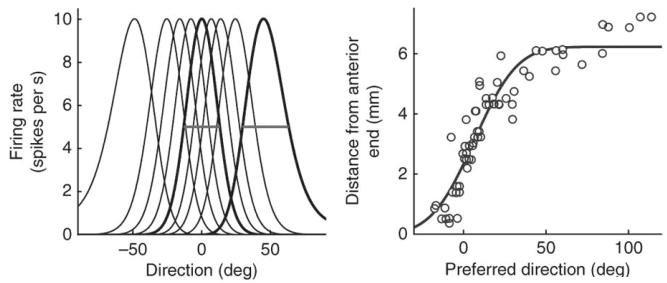 FischerNN_c FischerNN_c