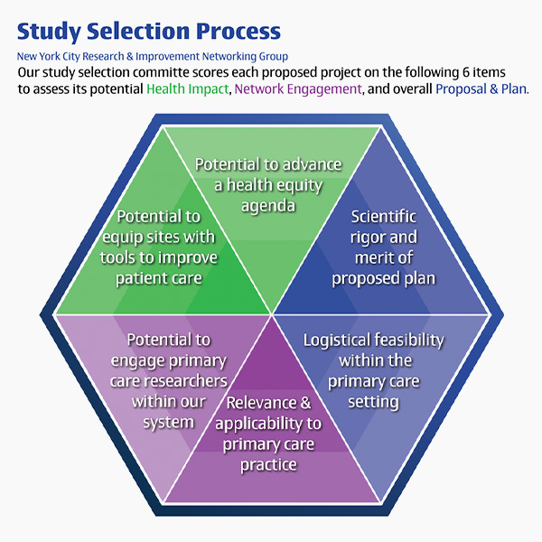 Study Selection Process