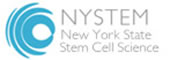New York State Stem Cell Science (NYSTEM)