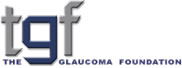 The Glaucoma Foundation (New York)