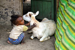 A young girl and her family’s goat, in Hawassa, Ethiopia