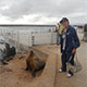 Lilly visiting with sea lions in Galapagos