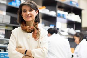Leading expert in autophagy, Ana Maria Cuervo, M.D., Ph.D., from Albert Einstein College of Medicine has been elected to the American Academy of Arts and Sciences class of 2018.