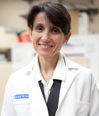 Ana Maria Cuervo, M.D., Ph.D.