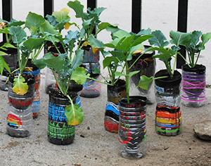 Planters the students decorated and took home