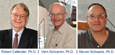 Drs. Robert Callender, Vern Schramm and Steven Schwartz