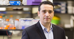 Researchers, led by Evripidis Gavathiotis, Ph.D., at Albert Einstein College of Medicine have discovered the first compound that directly makes cancer cells commit suicide while sparing healthy cells.
