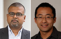 Researchers, led by Kartik Chandran, Ph.D., and Jonathan Lai, Ph.D., at Albert Einstein College of Medicine have recently received several NIH grants to develop protective therapies against three deadly viruses—Ebola, Marburg and hantavirus.