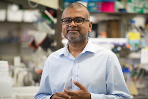 Researchers, led by Kartik Chandran, Ph.D., at Albert Einstein College of Medicine will lead an international consortium to develop antibody-based therapies against four highly lethal viruses using a $22 million grant from the National Institute of Allergy and Infectious Diseases.