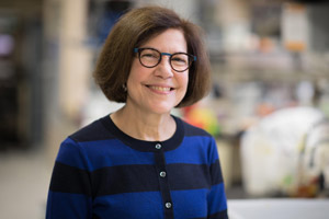 Margaret Kielian, Ph.D., Awarded the 2019 Horwitz Prize