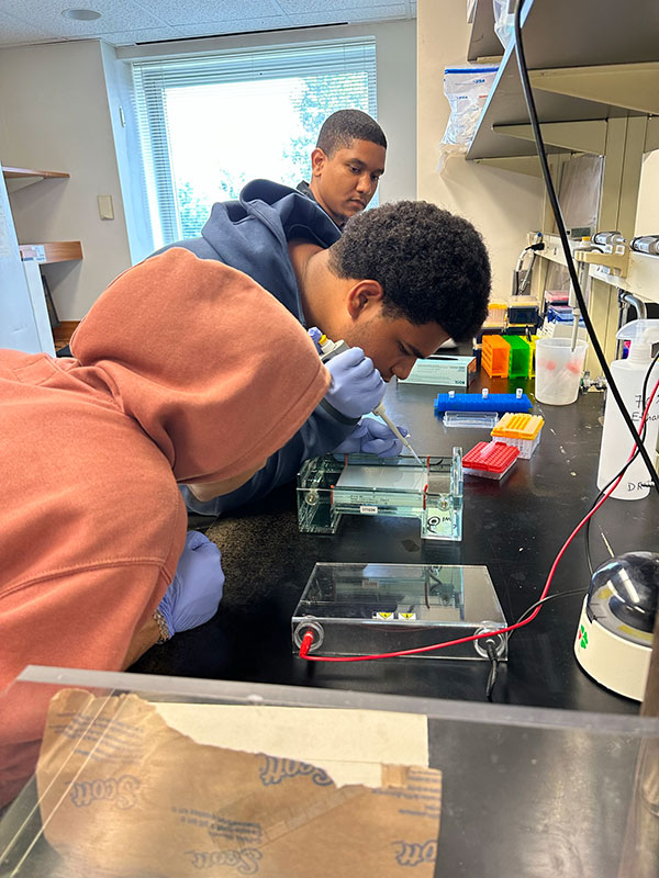 Students Ethan Cruz and William Capellan conducting an experiment in Dr. Dario Riasco-Bernal’s lab with Gabriel Quinones (research technician) 