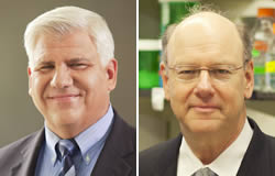 Robert Singer, Ph.D., and William Jacobs, Jr., Ph.D., were elected members of the National Academy of Sciences.