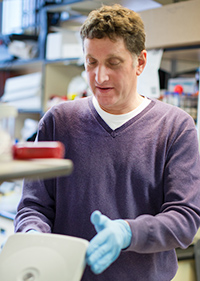 Dr. Steven Almo in the lab