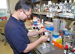 Dr. Zeqiang Guan works with a molecule stretcher, created by Mr. Leggiadro, in the laboratory of Dr. Carl Schildkraut.