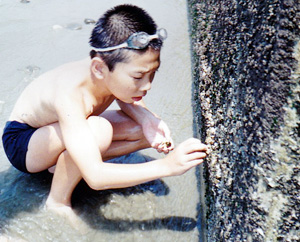 A young Tadakimi examines sea life by the seashore