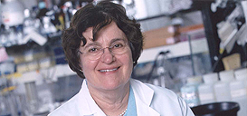Susan Band Horwitz, Ph.D., of Albert Einstein College of Medicine, Receives Lifetime Achievement Award in Cancer Research