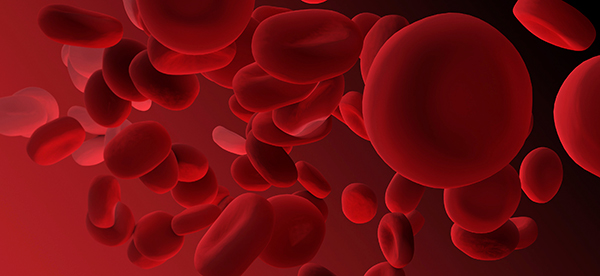 Blood Protein Offers Help Against Anemia