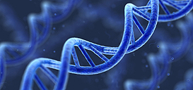 Scientists Observe Single Gene Activity in Living Cells