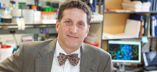 Dr. Steven C. Almo Named Chair of Biochemistry at Albert Einstein College of Medicine