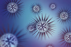 Uncovering Herpes Simplex Infection Tactic