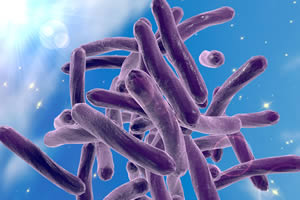 Purging Persister Bacteria in TB Treatment