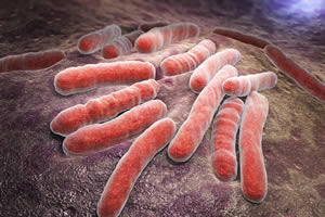 Targeting TB Enzymes