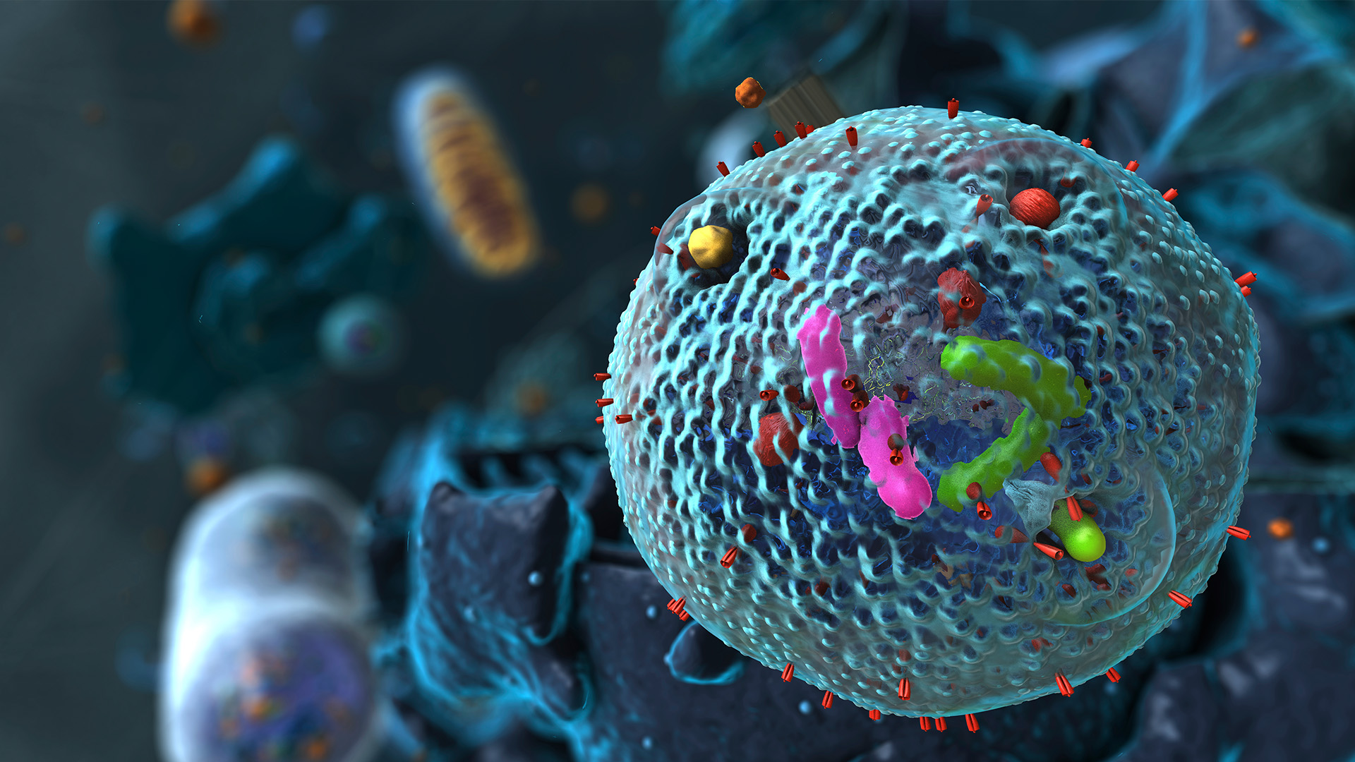 Understanding the Mechanisms Behind Neurodegenerative Diseases ...