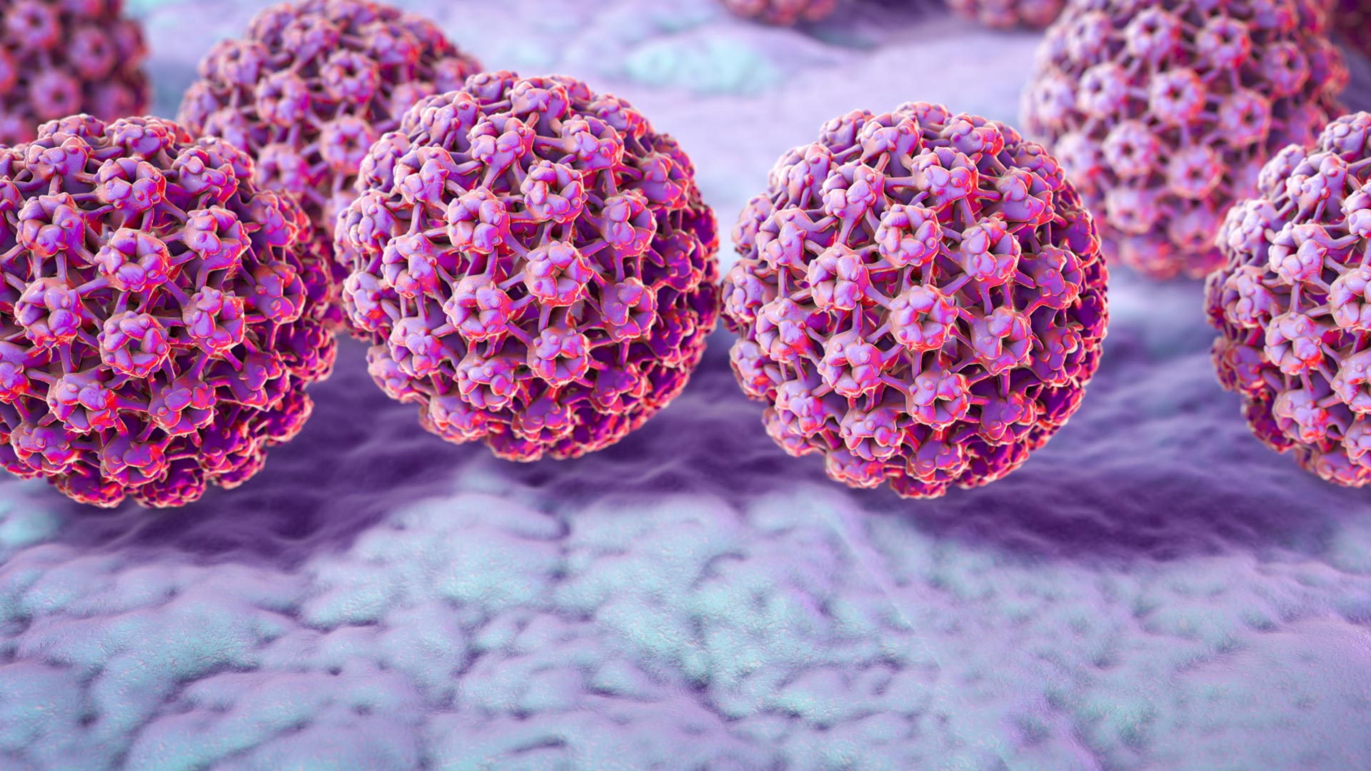 Investigating How HPV Infection Causes Cervical Cancer