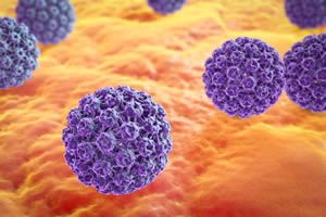 A Key Cervical Cancer Virus in the Crosshairs