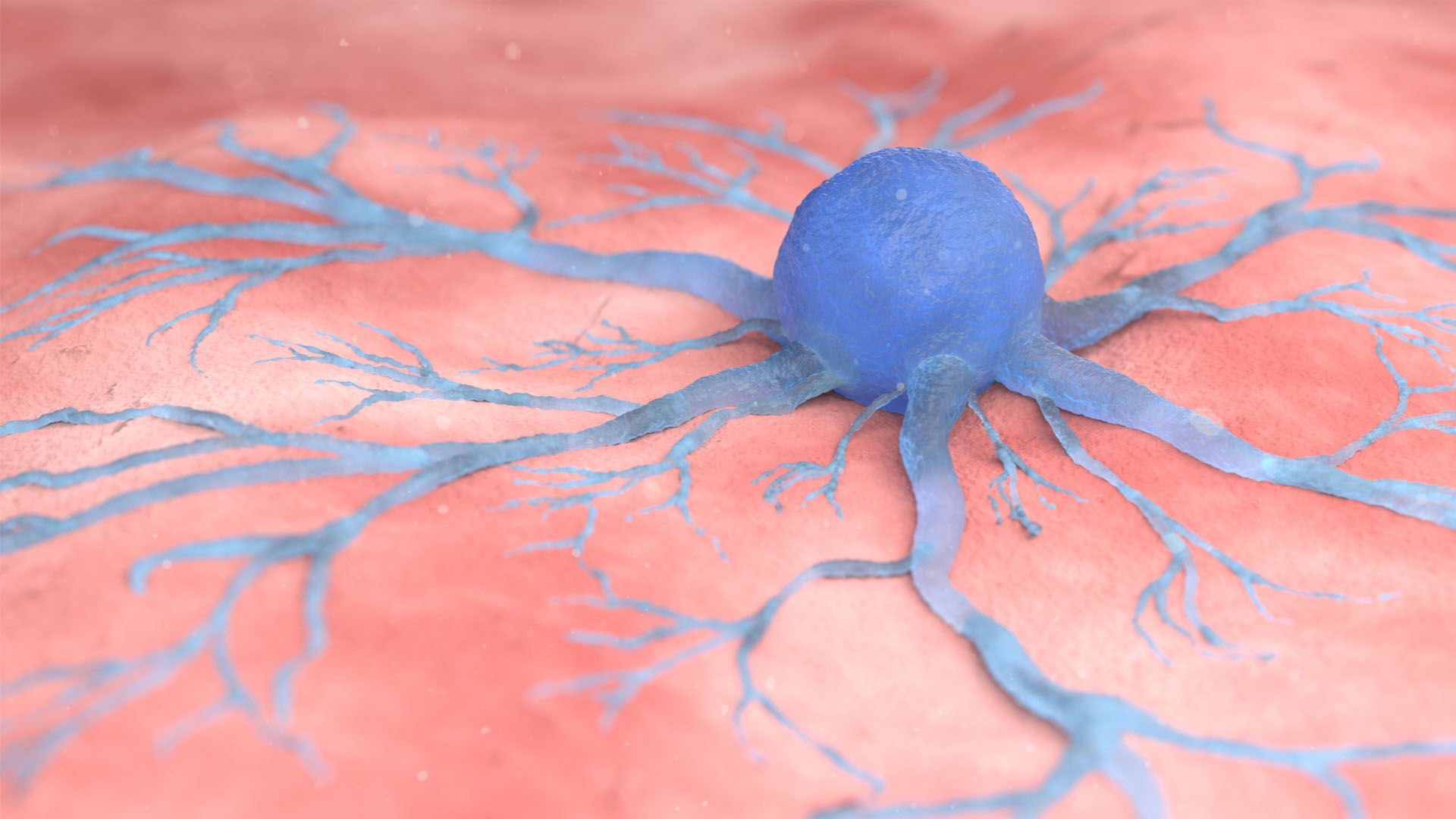 Using Imaging to Understand Cancer Metastasis