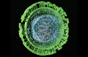 Vaccinating Against Herpes Simplex Viruses