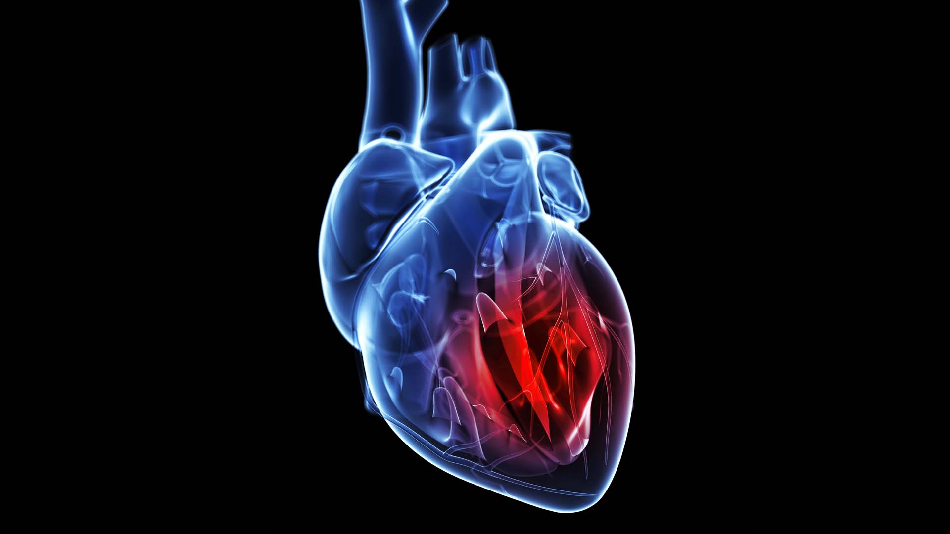 Identifying New Molecules That Contribute to Heart Failure
