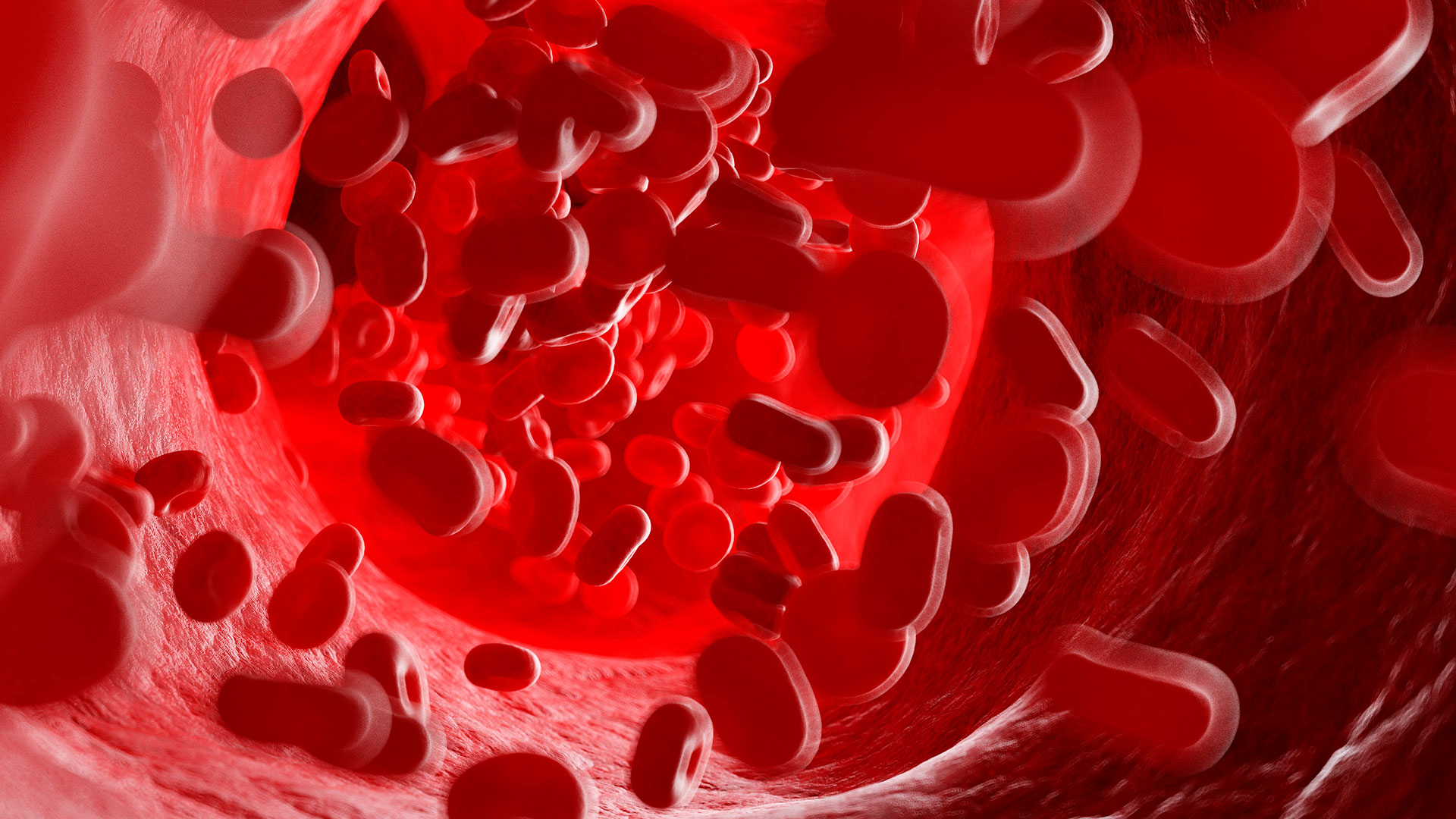 Gaining Insight into Embryonic Blood Formation