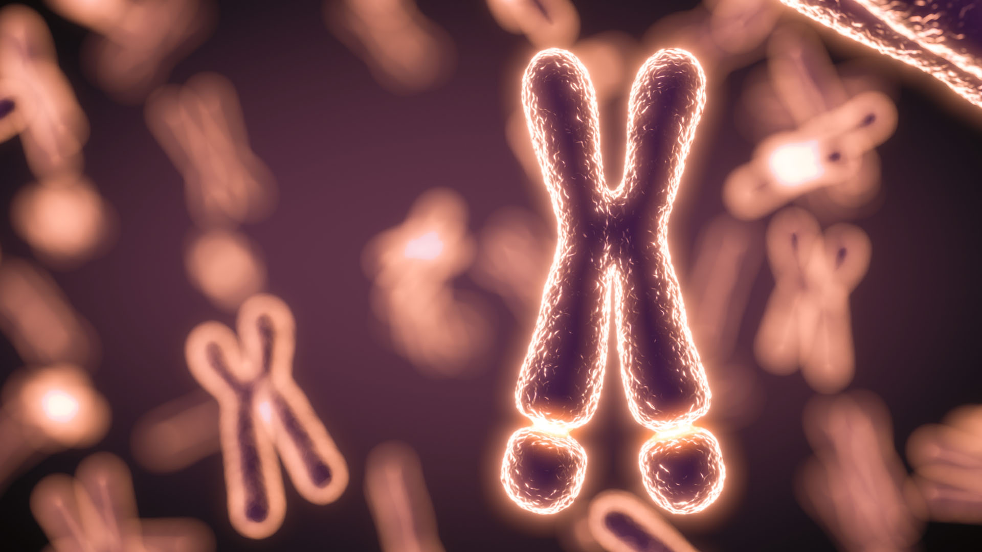 New Insights into Fragile X Syndrome and Autism