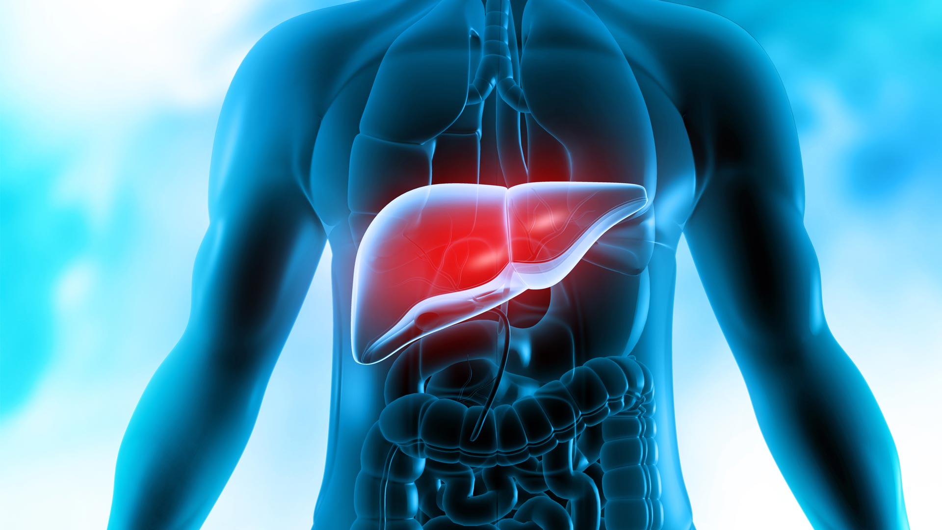 Using Cells to Treat Acute Liver Failure
