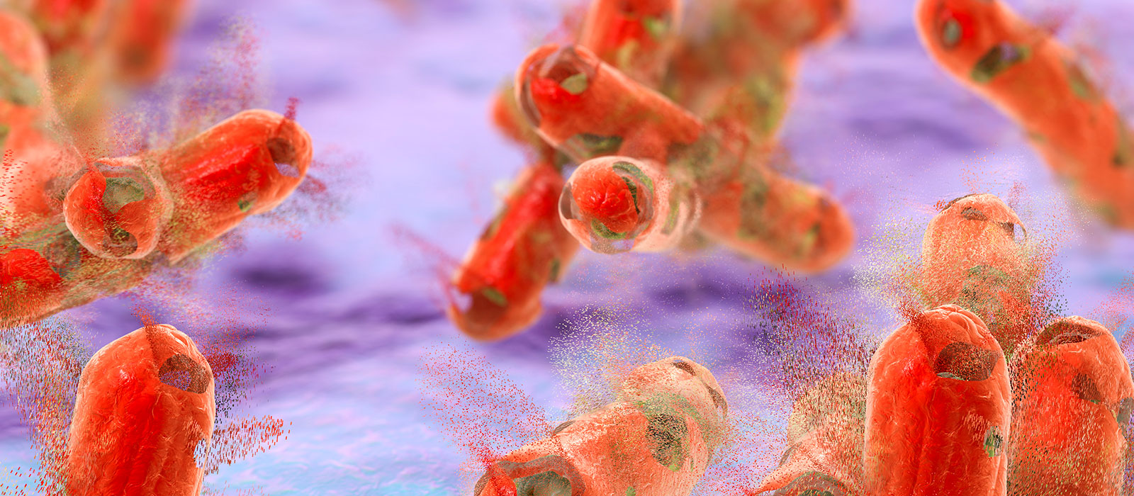 Understanding the Role of Antibodies in Protecting Against Tuberculosis