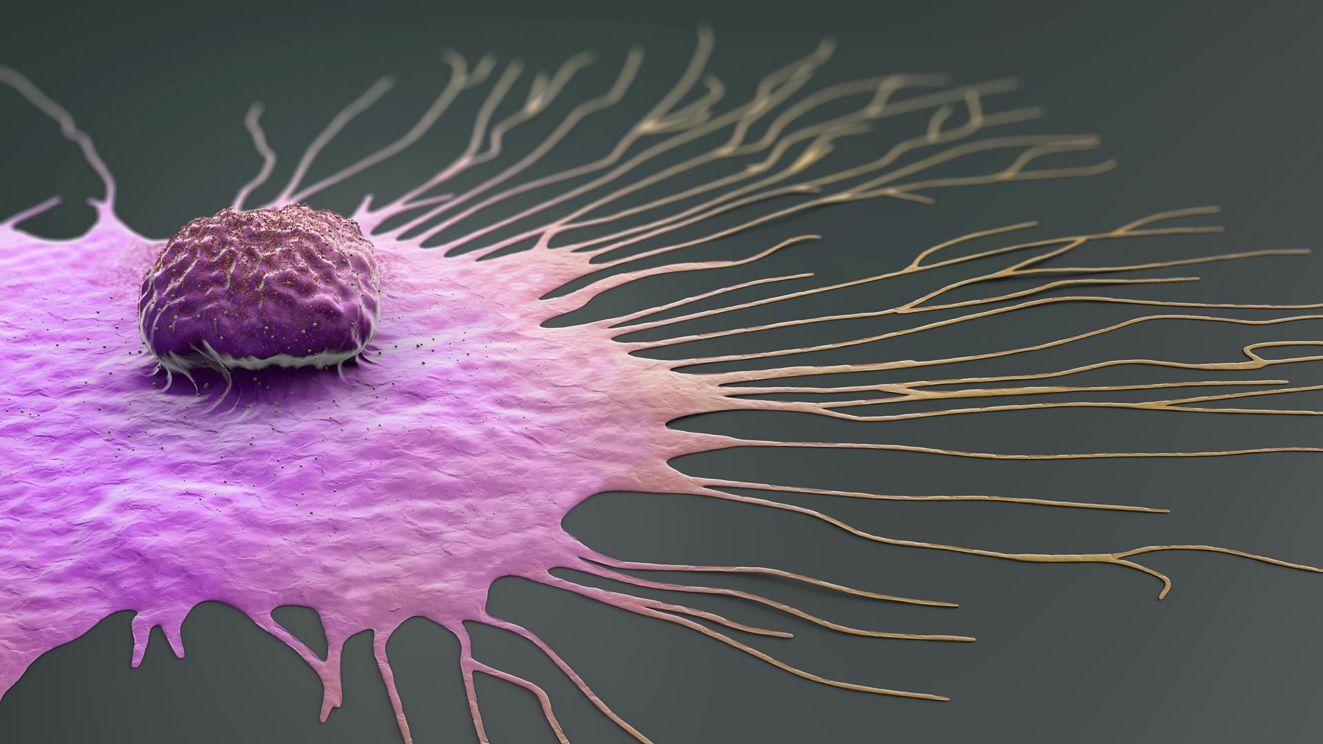 Essential Driver of Breast Cancer Identified
