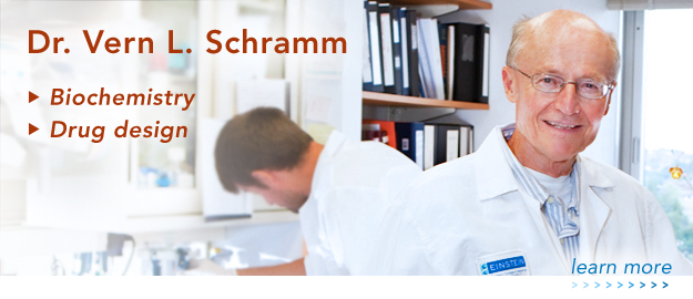 Dr. Vern Schramm