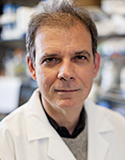 Arturo Casadevall, MD, PhD, Albert Einstein College of Medicine