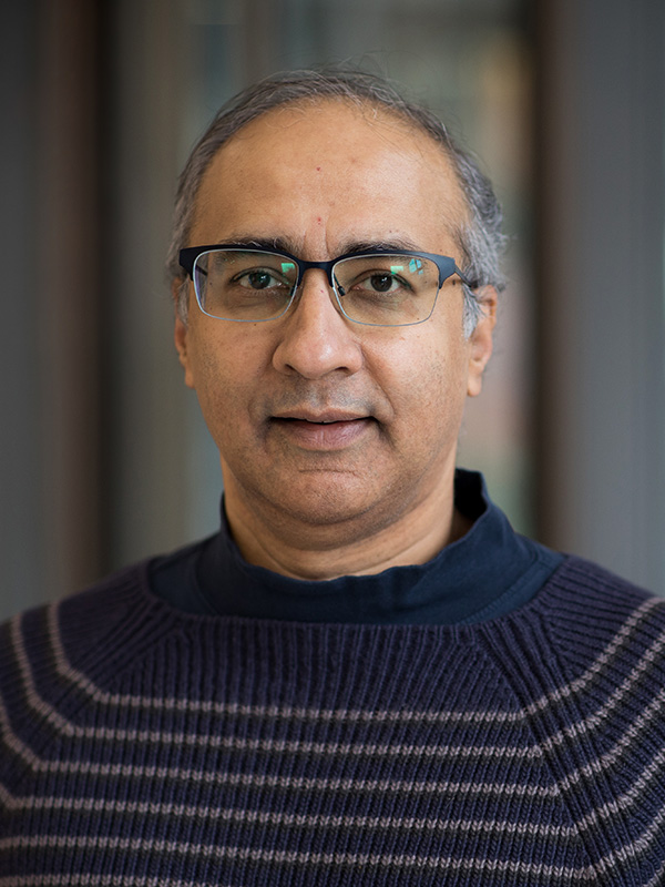 Researchers, led by Sridhar Mani, M.D., at Albert Einstein College of Medicine, have found that normal digestive bacteria help keep the intestinal lining intact and prevent inflammation. The findings, reported online in the journal Immunity, could yield new therapies for inflammatory bowel disease (IBD) and a wide range of other disorders.