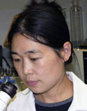 Xia Wang, M.D., Ph.D.