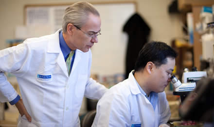 Dr. Victor Schuster nephrology lab research Einstein Montefiore Bronx NY