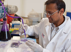 Sanjay Goel, M.D., M.S., Associate professor of medicine (oncology)