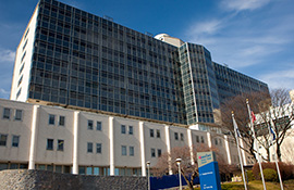 Montefiore Einstein Department of Medicine Einstein campus weiler hospital Bronx NY