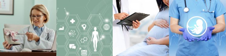 Divisions | The Department of Obstetrics & Gynecology and Women's ...