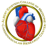 Albert Einstein Cardiovascular Research Center Logo