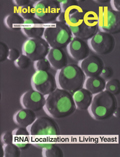 Cover of Molecular Cell, Volume 2